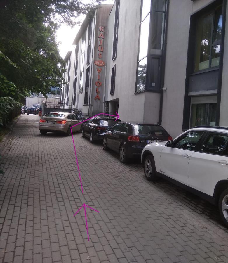 Ferienwohnung S.Neries Butas Palanga Exterior foto